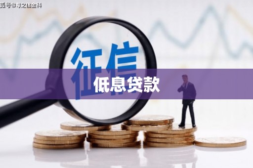 诏安低息贷款