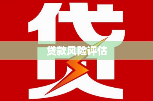 诏安贷款风险评估