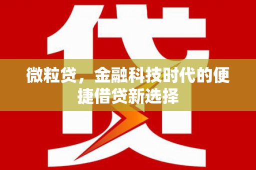 诏安微粒贷，金融科技时代的便捷借贷新选择