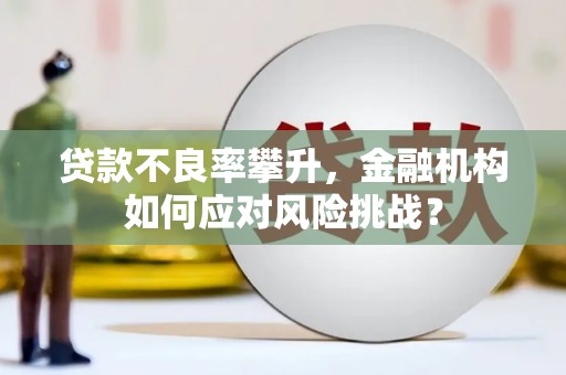 诏安贷款不良率攀升，金融机构如何应对风险挑战？