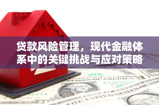 诏安贷款风险管理，现代金融体系中的关键挑战与应对策略