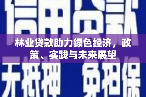 诏安林业贷款助力绿色经济，政策、实践与未来展望