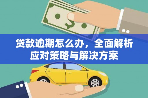 诏安贷款逾期怎么办，全面解析应对策略与解决方案