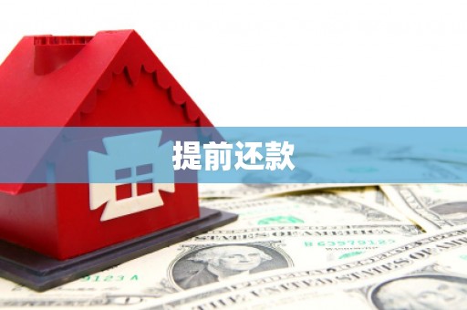 诏安提前还款
